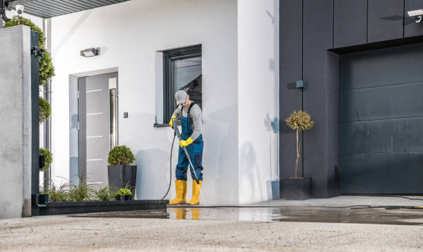 Best Graffiti Removal  in Davenport, FL